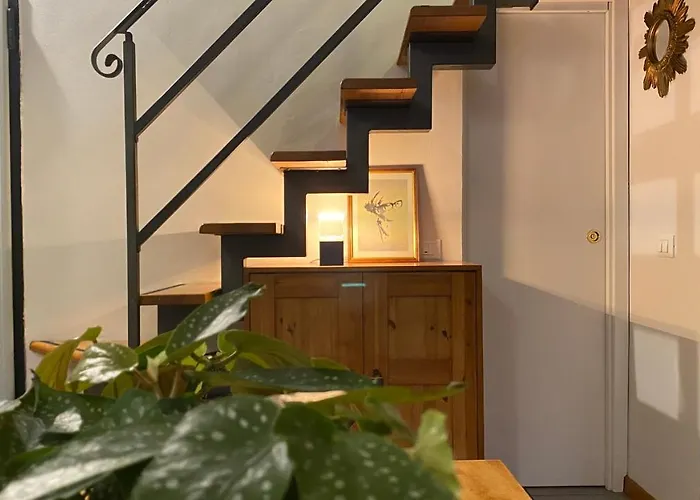 Frda * بولونيا